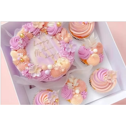 Bento 5 Cupcakes Clear Lid