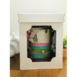 White C/Box- 3D 10" High With Window & Lid